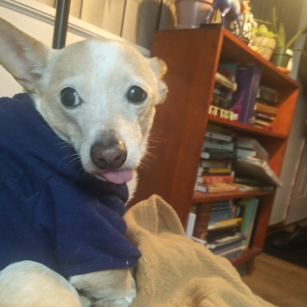 Meet your Posher, Marten